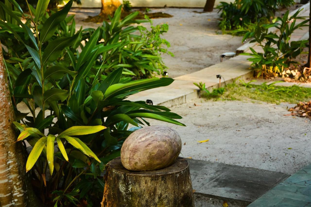 Pousada Vila Palma Boipeba Velha Boipeba Luaran gambar